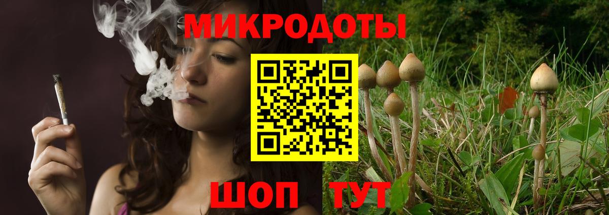 Галлюциногенные грибы мицелий Мончегорск