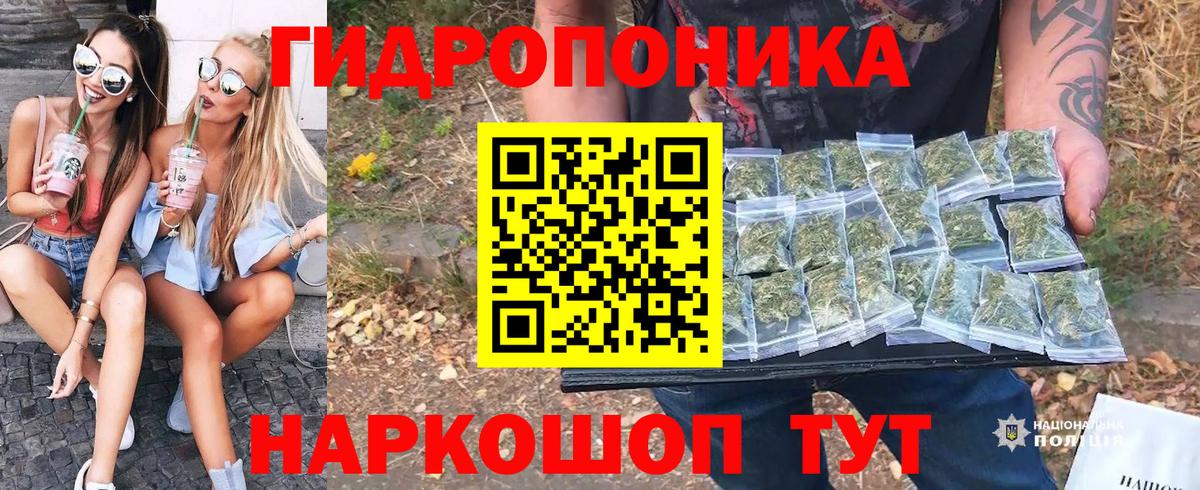 Канабис Bruce Banner  Вход с VPN  Мончегорск  Канабис Ganja 